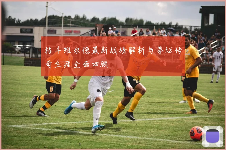 格斗维尔德最新战绩解析与拳坛传奇生涯全面回顾
