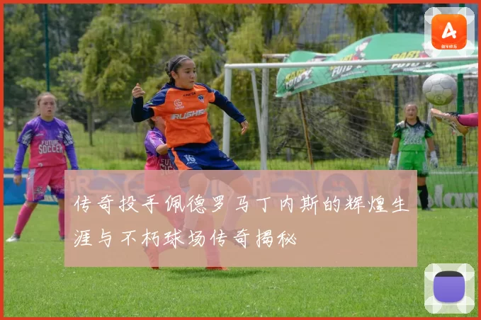 传奇投手佩德罗马丁内斯的辉煌生涯与不朽球场传奇揭秘