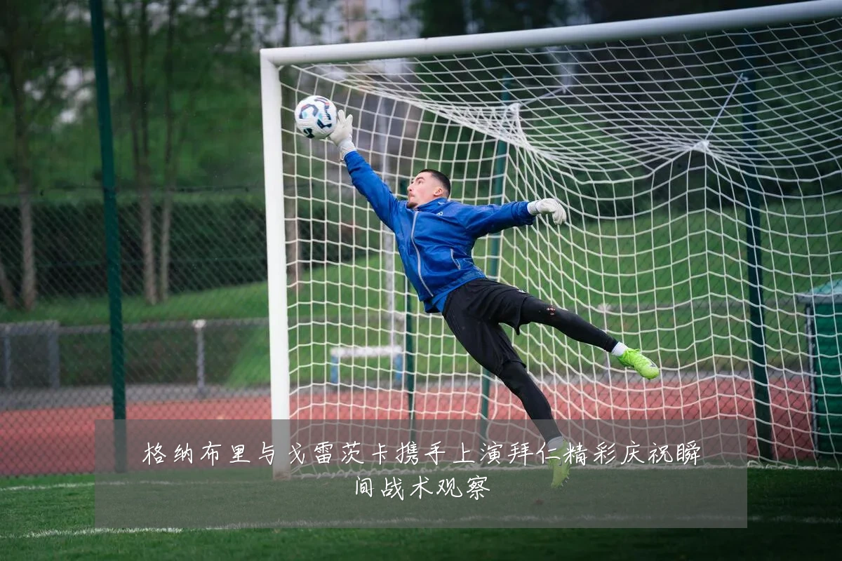 格纳布里与戈雷茨卡携手上演拜仁精彩庆祝瞬间战术观察