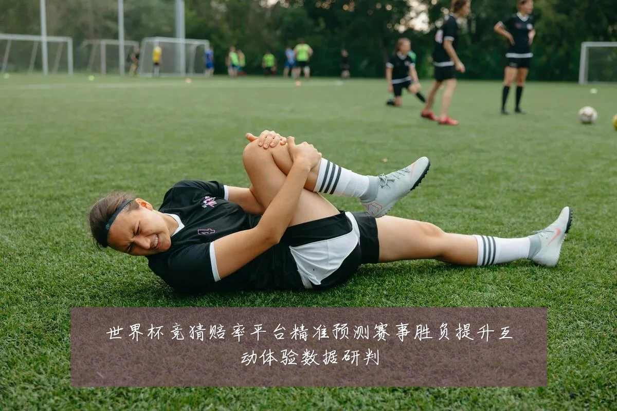 世界杯竞猜赔率平台精准预测赛事胜负提升互动体验数据研判