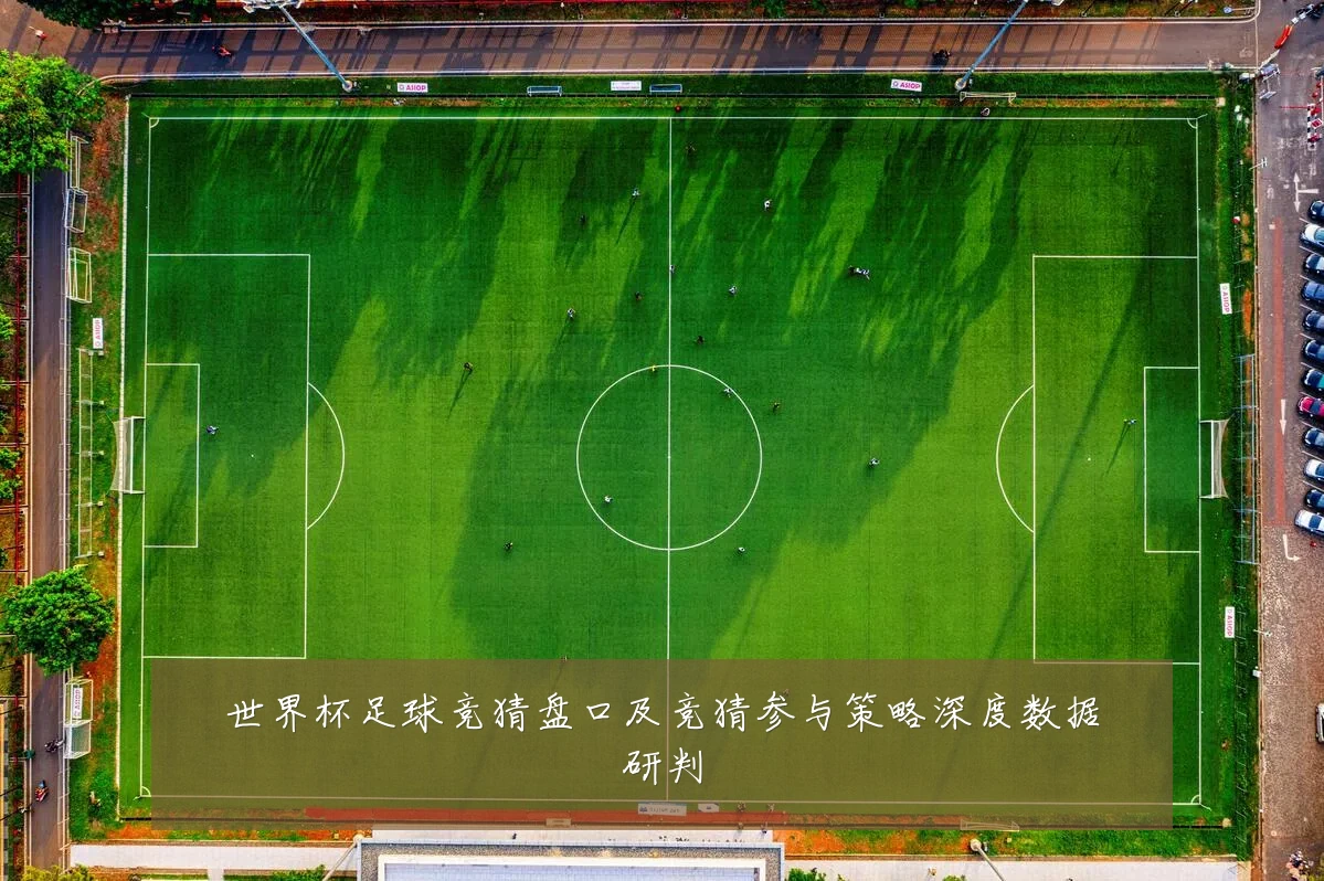 世界杯足球竞猜盘口及竞猜参与策略深度数据研判
